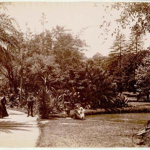 Botanical Gardens, Sydney [showing pond and walkways]