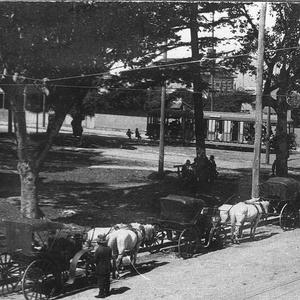 Horse drawn cabs - Manly, NSW