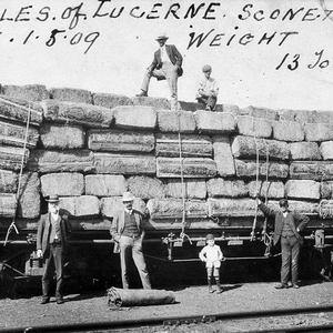 Railway truck loaded with 138 bales of lucerne, weight ...
