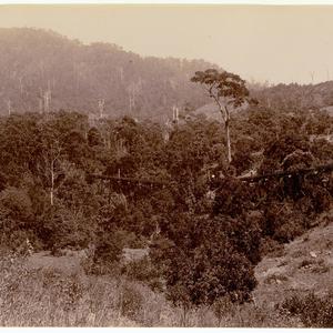 Mt. Kembla, near Wollongong