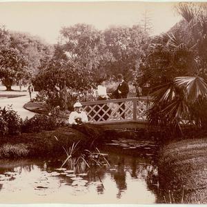 Botanical Gardens, Sydney [showing bridge over pond]