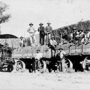 Walgett Shire Council workers road building. Steam trac...