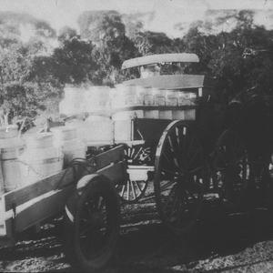 Typical milk wagonette for the period, built at Tilba T...