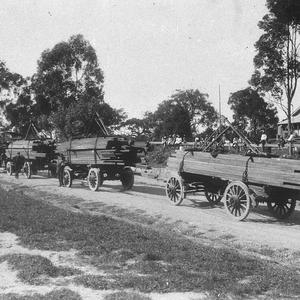 Steam traction engine hauling timber - Coffs Harbour, N...