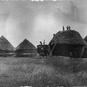 Haystacks - 4 miles north of Parkes, NSW
