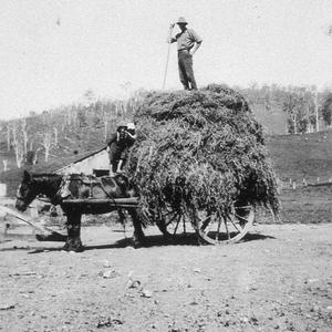 Loading hay on "Willi Willi" property (35 miles west of...
