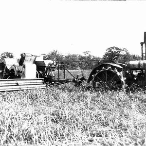 15-30" pulling "Massey McKay" 10ft header - Parkes dist...
