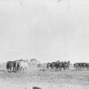Ploughing on "Glenarchy" - Cootamundra, NSW