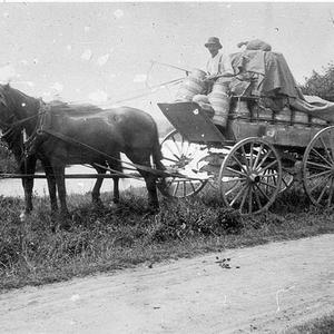 Cream delivery wagon. Cream being delivered by horse-dr...
