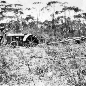 Scrub rolling with Fordson tractor on "Stretton Park" -...