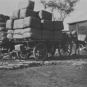 Loading wool, Kaleno station - Cobar, NSW
