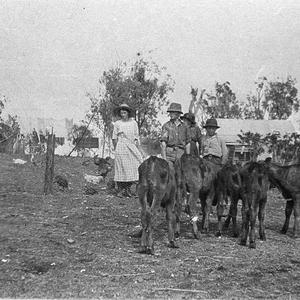 Hazelbank property belonging to James Alfred Nash. Feed...