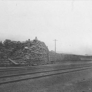 Wheat stacks in a railway yard. Lumpers seated.