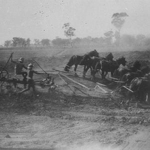 Tank sinking on P W Weise's property using 7 horses - Ariah Park, NSW