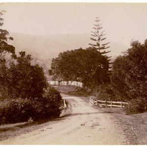 Bulli Road, Illawarra