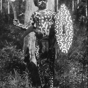 Aboriginal man in ceremonial paint - Port Macquarie are...