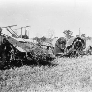 Reaper binder behind Fordson tractor on 'Craigmore' har...