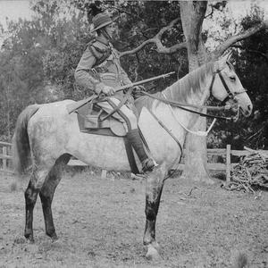 Light Horse soldier on "Havelock" - Bega, NSW