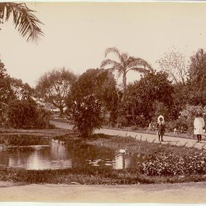 Botanical Gardens, Sydney [showing pond and walkways]