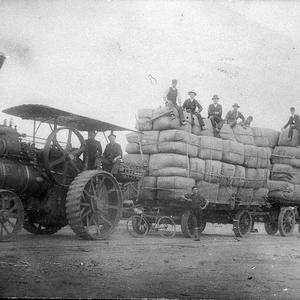 Steam traction engine hauling 2 wool wagons owned by Mr...