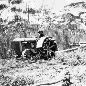 Scrub rolling with Fordson Tractor - Yealering, WA
