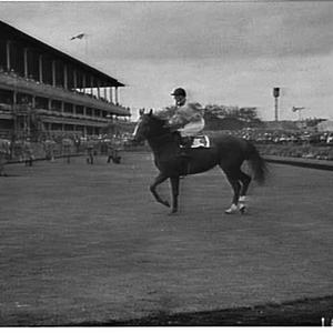 Doncaster race day, 1961, Randwick