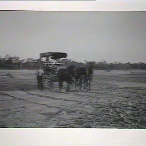 (MM). Three horses pulling cart with driver walking bes...