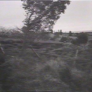 Land slipping in orchards at Kurrajong