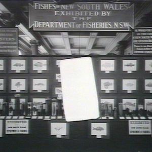 Fisheries Exhibition at the Royal Exchange