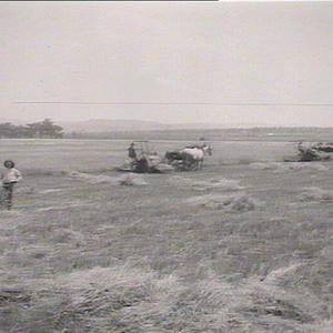 C.J. Britten Snr: "Woodhouse" Farm