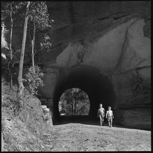 File 15: Landscape near Mittagong, Rex Dupain and Hal, ...