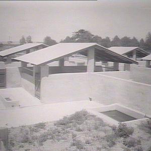 Hawkesbury Agricultural College - near piggery
