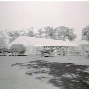 View of stables & hayshed