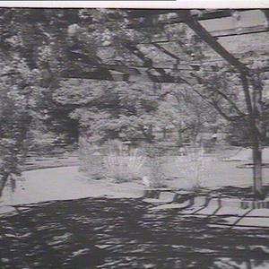 Mental Hospital, Parramatta: garden view