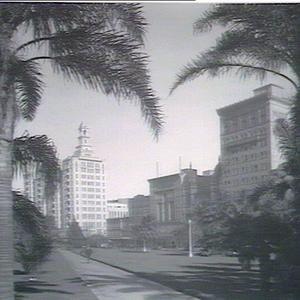 Elizabeth Street Buildings through palms in Hyde Park
