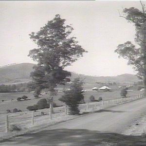 On the way to Bulga Tableland