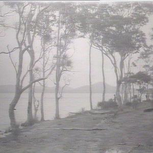 Head of Wallis Lake, Forster