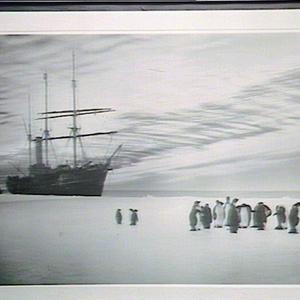 The "Aurora" tied to floeat the Shackleton Shelf