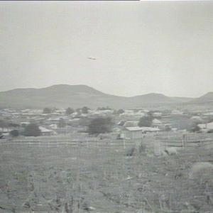 Town of Tenterfield