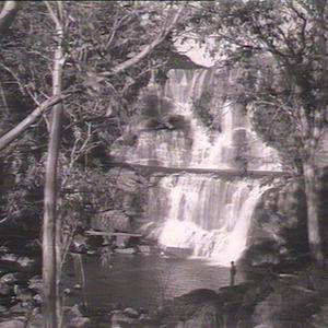 Ebor Falls: Armidale District