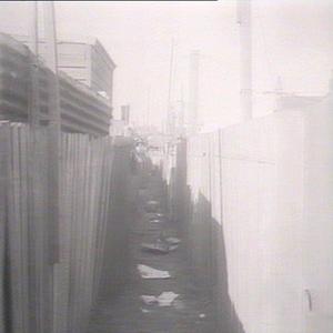 Housing Investigation Committee, Erskineville