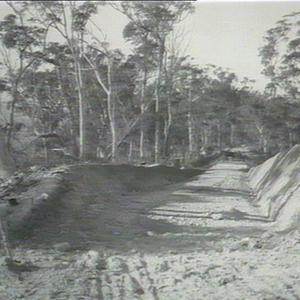 Road scene in Whian Whian Forest, made by Forestry Comm...