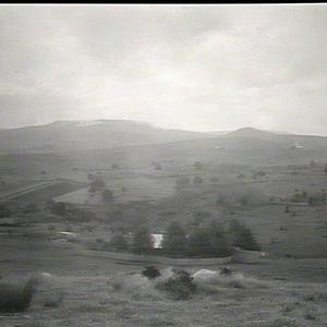 Rich dairying country, North Coast