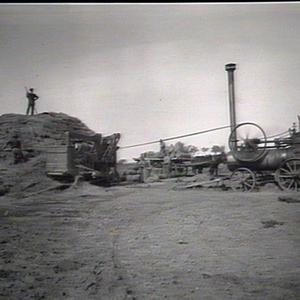 Clifton Soldiers Settlement, Young: cutting chaff