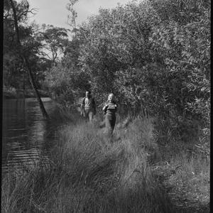 File 09: French's Forrest [Frenchs Forest], 1939 / phot...