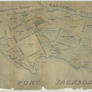 [Map of Carabella] [cartographic material] / W.M. Brown...