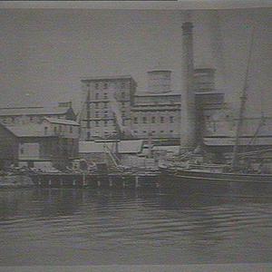 Colonial Sugar Refining Co.'s Works, Pyrmont