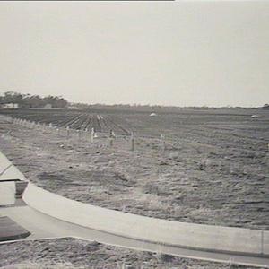 Irrigation Area, Coomealla