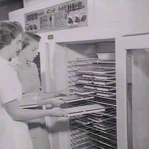 Seed experiments in laboratory