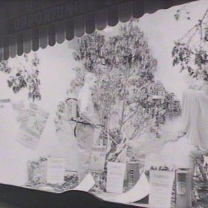 Bushfire Committee: window displays in the city